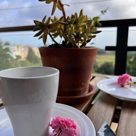 Casa Maricarmen Tacoronte