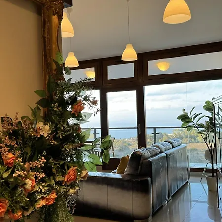 Casa Maricarmen * Tacoronte