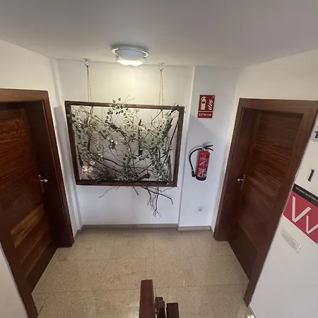 Casa Maricarmen Tacoronte
